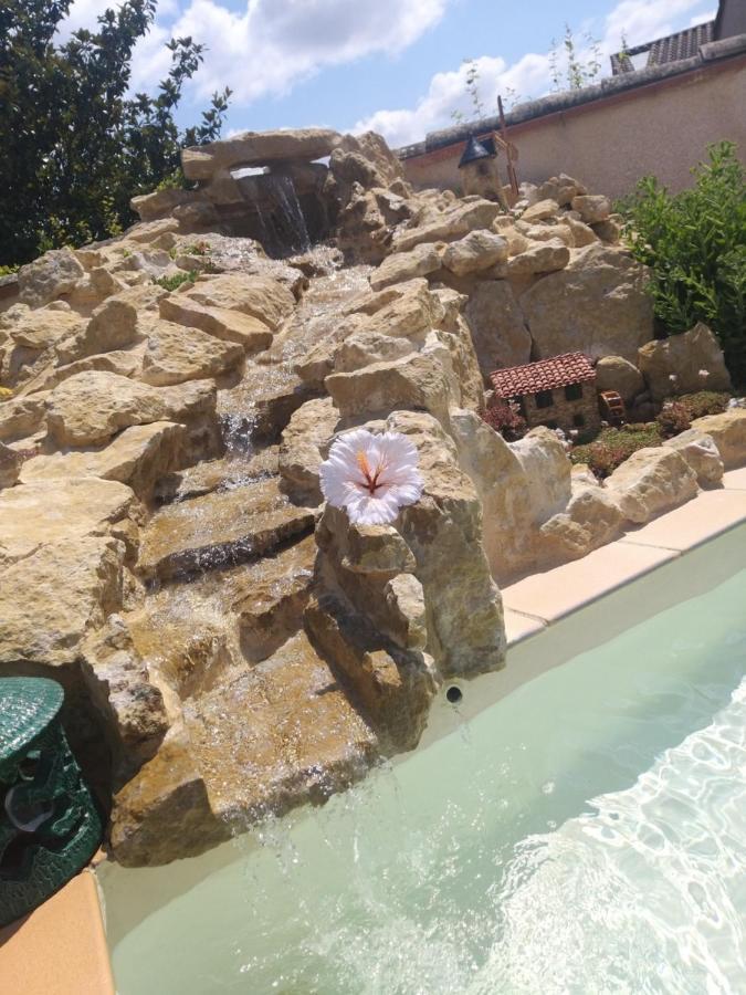 Villeneuve-la-ComptalGite T2 Avec Grande Piscineアパートメント エクステリア 写真
