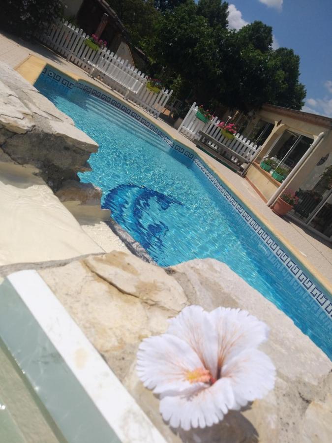 Villeneuve-la-ComptalGite T2 Avec Grande Piscineアパートメント エクステリア 写真